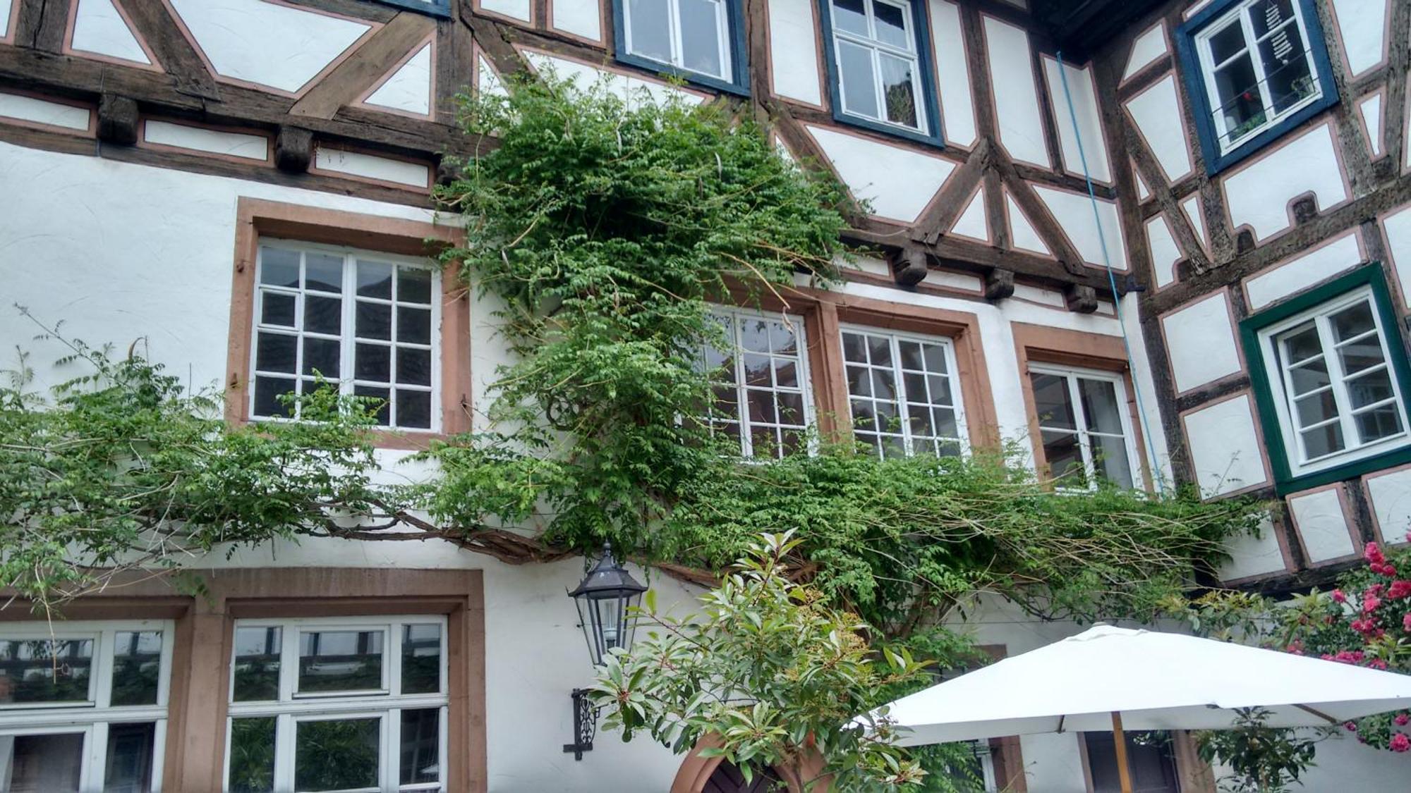 Historischer Adelshof Am Marktplatz, Atelier 70 M² فينهايم المظهر الخارجي الصورة